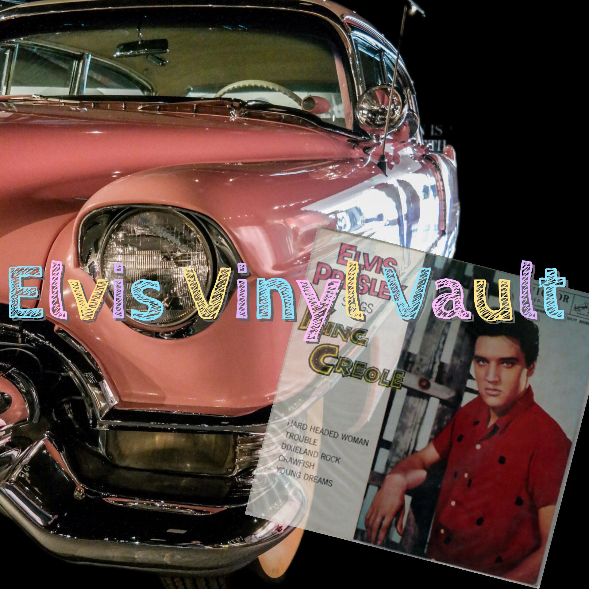 Elvis Vinyl Vault 